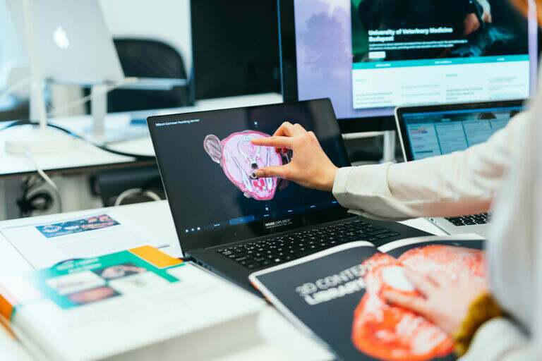 Seen from behind is someone in a white lab coat using a touch screen to look at a 3D visualisation of the anatomy of a terrier